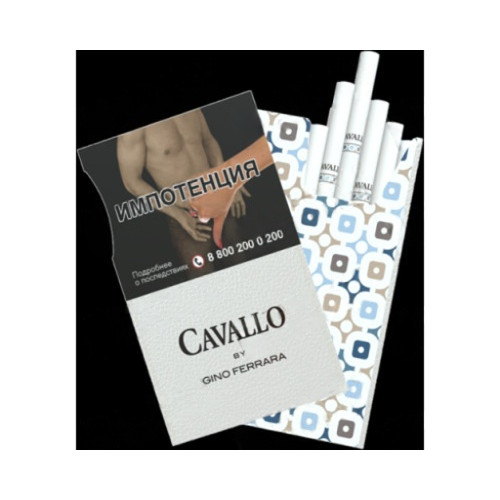 Cavallo by Gino Ferrara